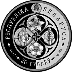 аверс 20 rublos 2017 "Rockpeck"