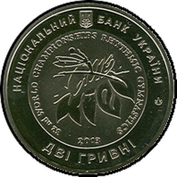 аверс 2 hryvnias 2013 "2 hryvnia XXXII Campeonato Mundial de Gimnasia Rítmica, Kiev"
