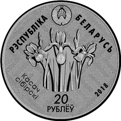 аверс 20 rublos 2018 "Reserva "Kotra""