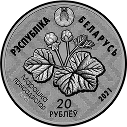 аверс 20 rublos 2021 "Reserva "Yelnia""
